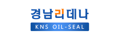 KNS logo