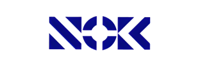 NOK brand logo image