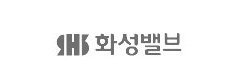 HS VALVE 브랜드 로고 이미지